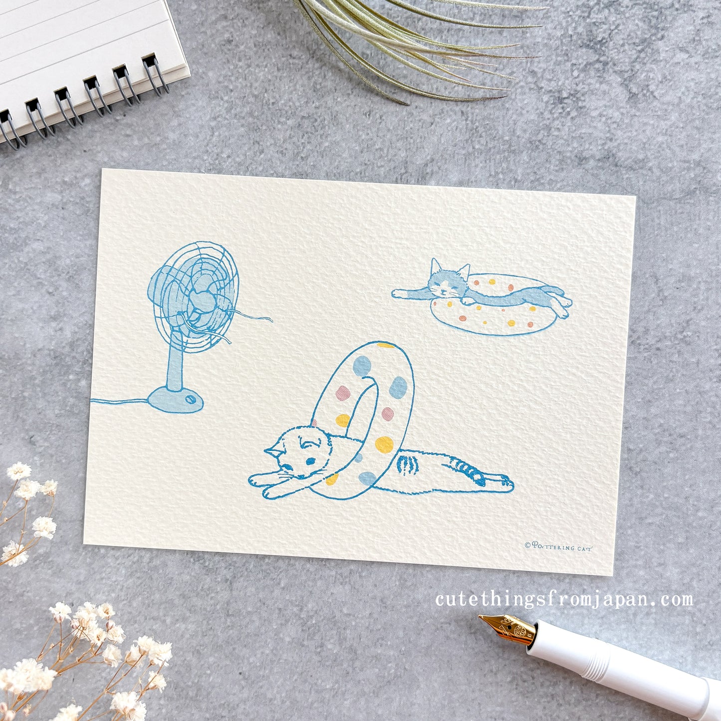 Pottering Cat Postcard - Happy August