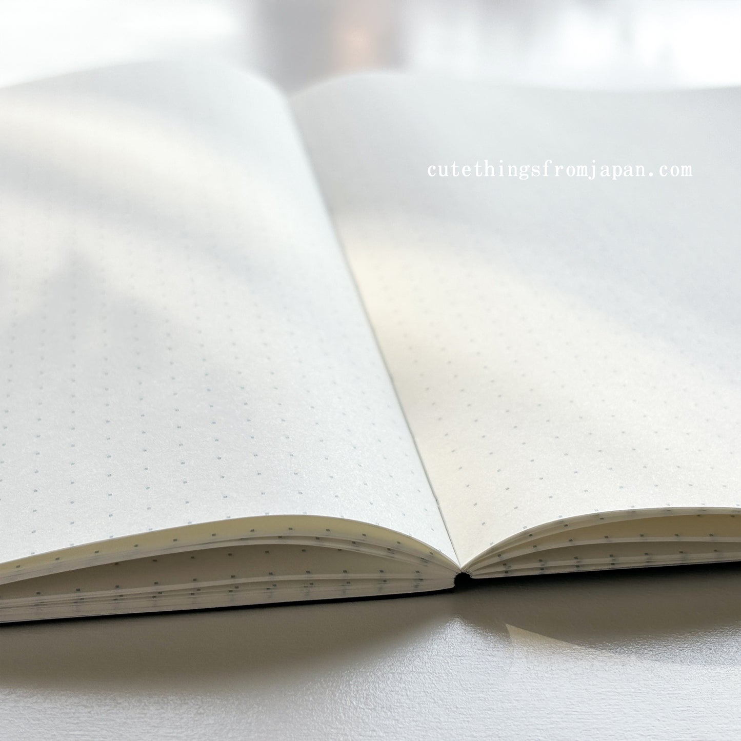 Tomoe River Notebook - A5 Dot FP (52g/m2)