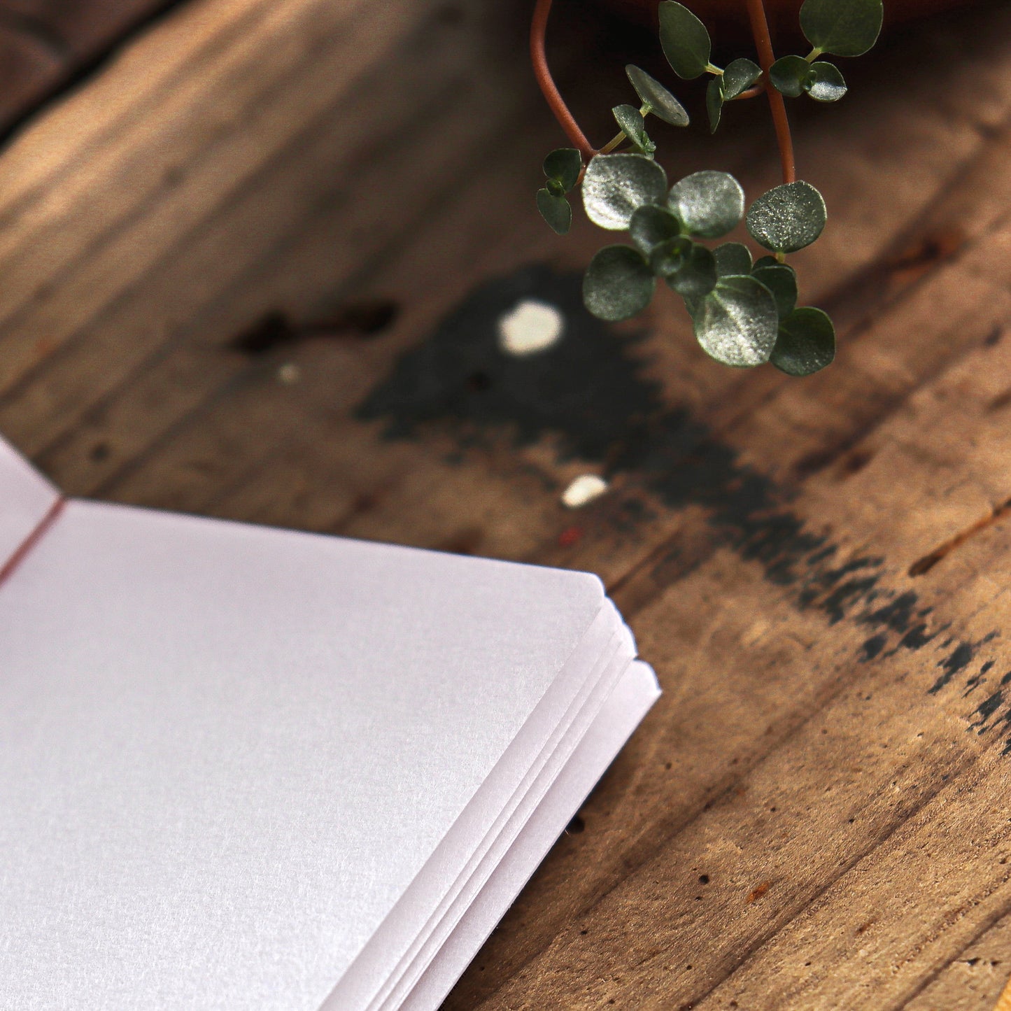 Torinoko Washi Paper Notebook - Plain Mini