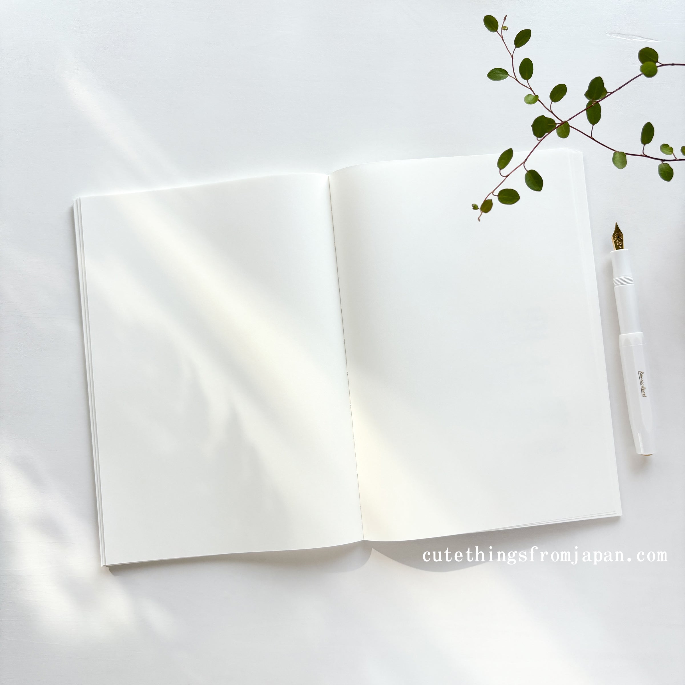 Tomoe River Notebook - A5 Plain FP (52g/m2)