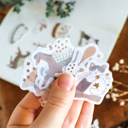 Shoichiro Tobimatsu / Flake Stickers - Star Hunt