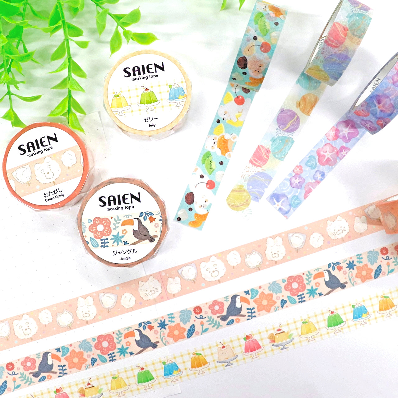 SAIEN / Washi Tape - Colorful Jello