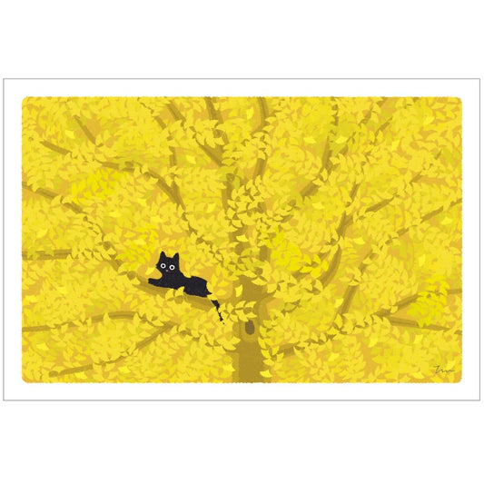 Toshinori Mori / Traveling Cat Postcard - Autumn / Fall Leaves