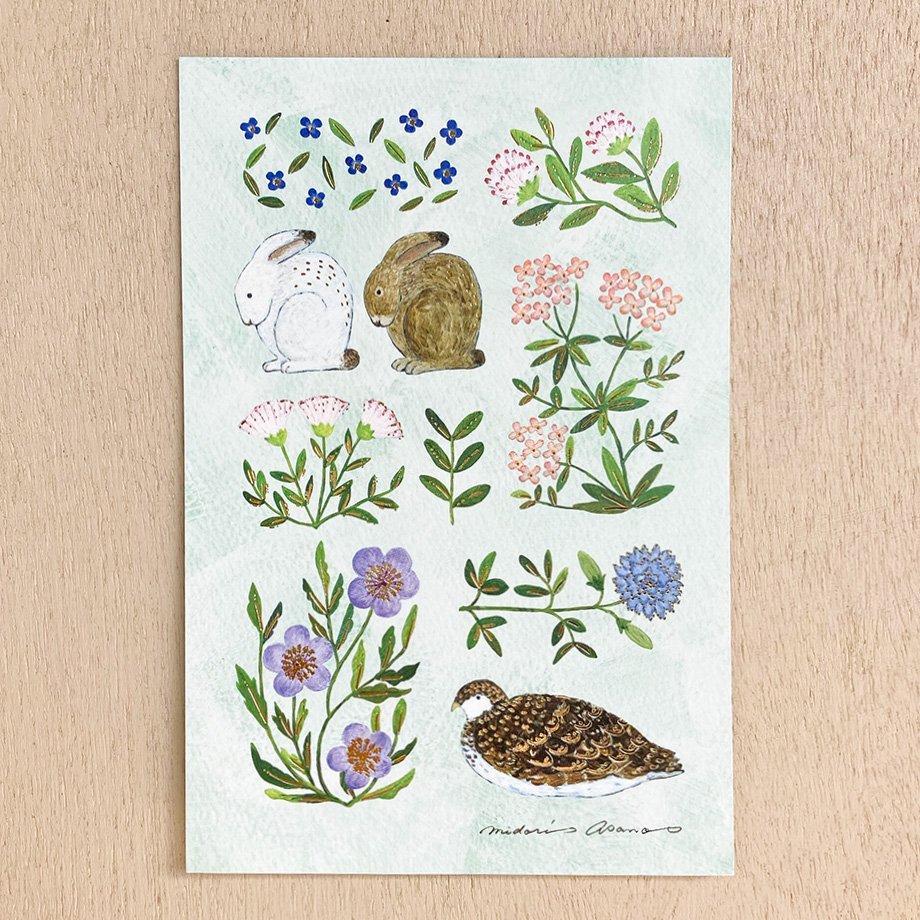 Midori Asano Postcard Set - Fleur
