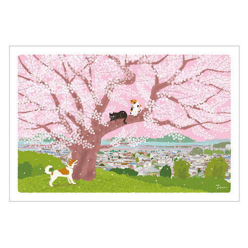 Traveling Cat Postcard - Spring / Hill