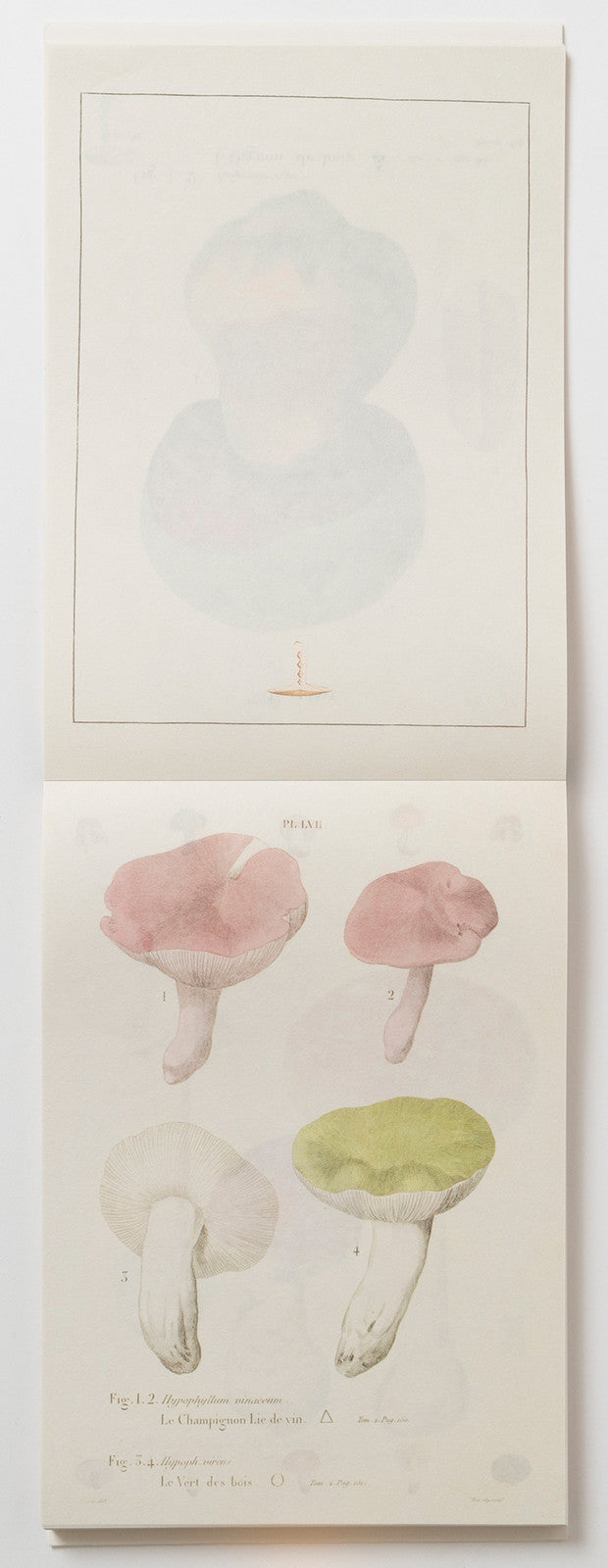 100 Paper Pad - Mushrooms