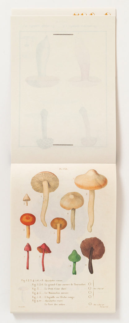 100 Paper Pad - Mushrooms