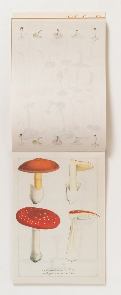 100 Paper Pad - Mushrooms