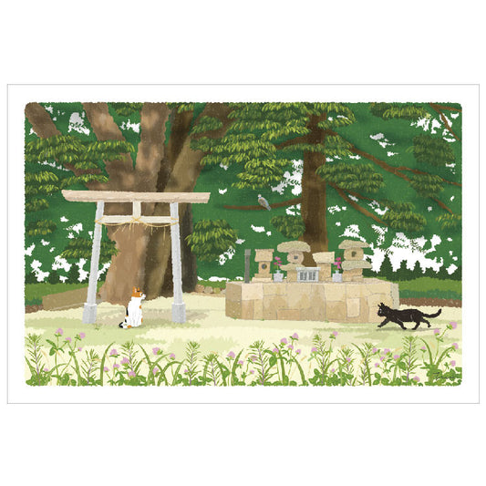 Traveling Cat Postcard - Summer / Forest