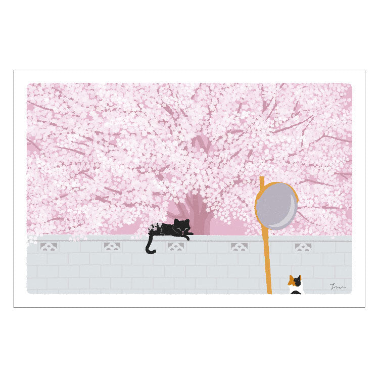 Traveling Cat Postcard - Spring / Full Bloom