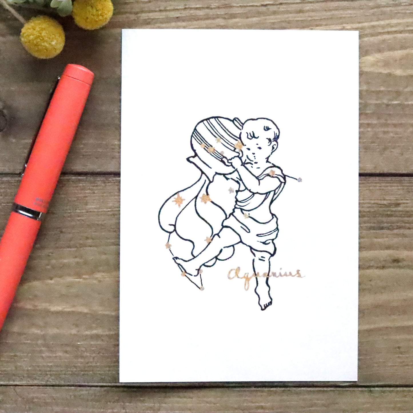 Postcard - Aquarius