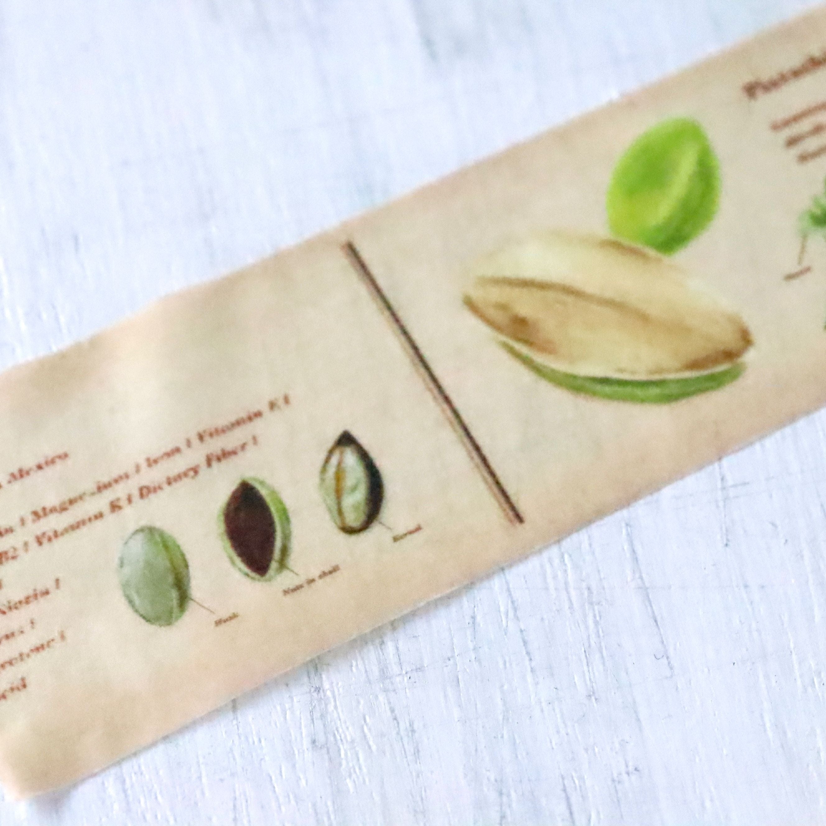 mt ex Washi Tape - Encyclopedia Nuts