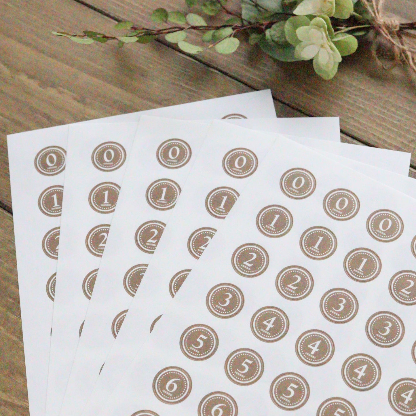 CTFJ x Classiky Number Seal Set - Brown