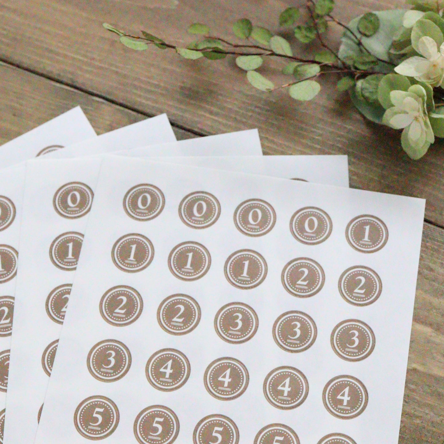 CTFJ x Classiky Number Seal Set - Brown
