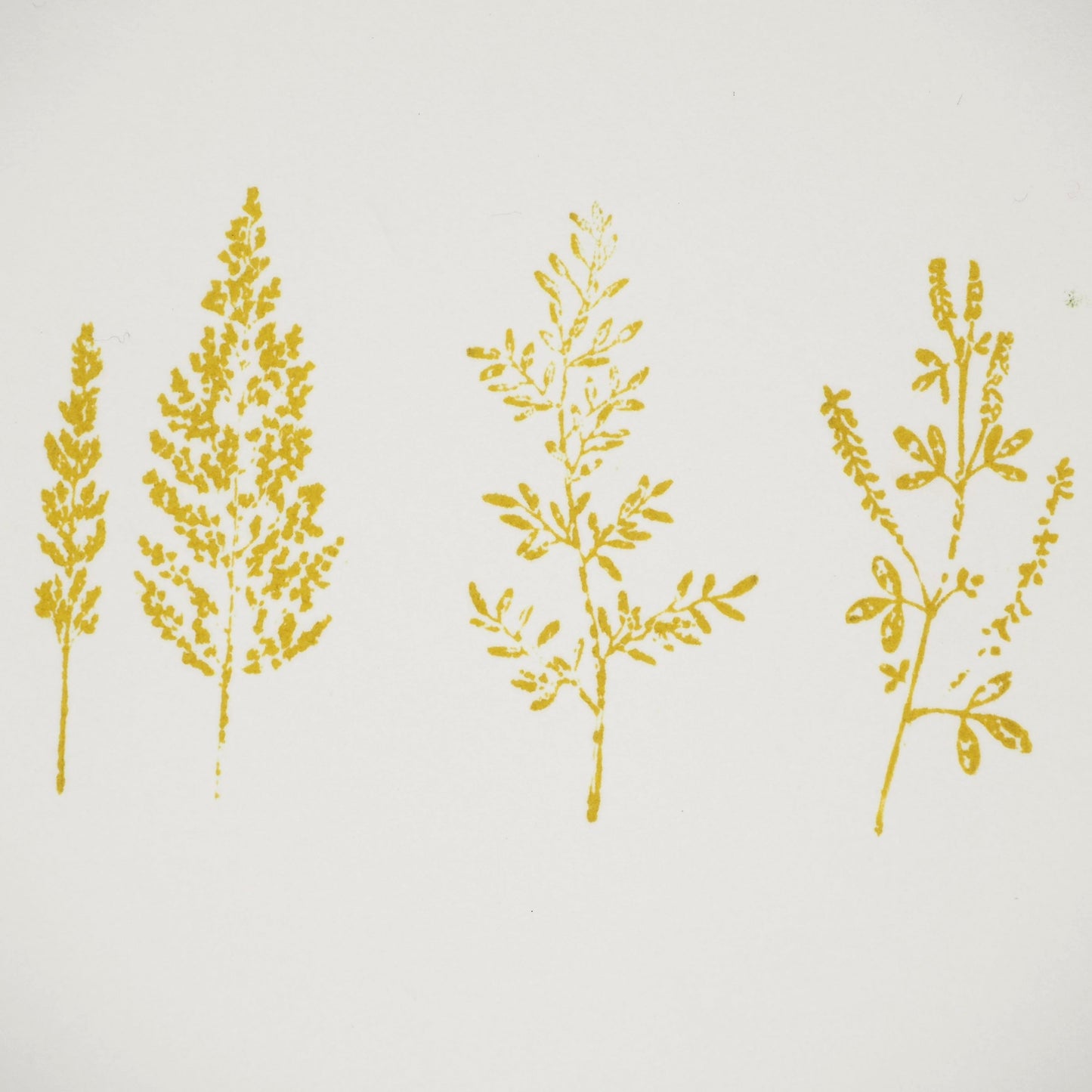 Versafine Clair Stamp Ink - Golden Meadow