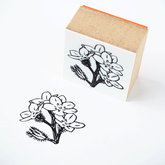 Rubber Stamp - Forget-me-not