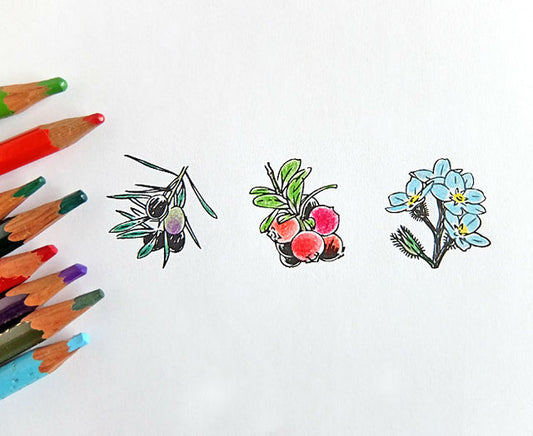 Rubber Stamp - Forget-me-not