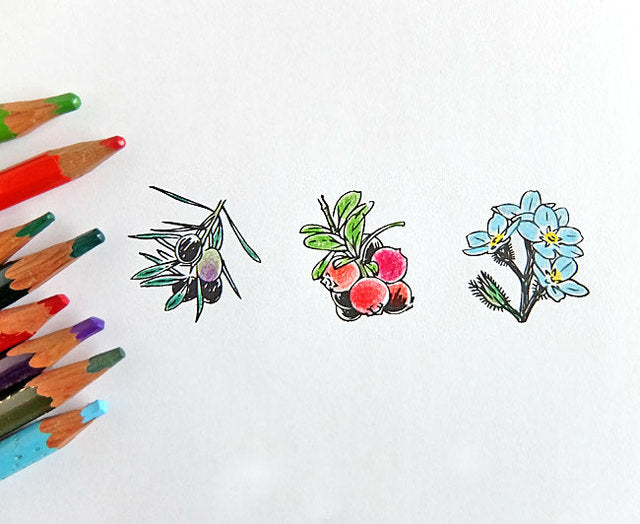 Rubber Stamp - Bilberry