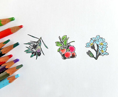 Rubber Stamp - Bilberry